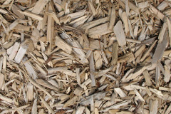 biomass boilers Ardonald